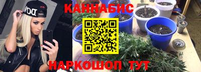 прущие грибы Нарткала