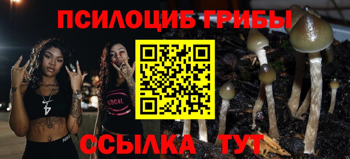 ТГК Тихорецк