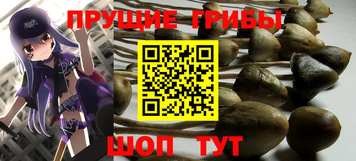 Галлюциногенные грибы мухоморы Тихорецк