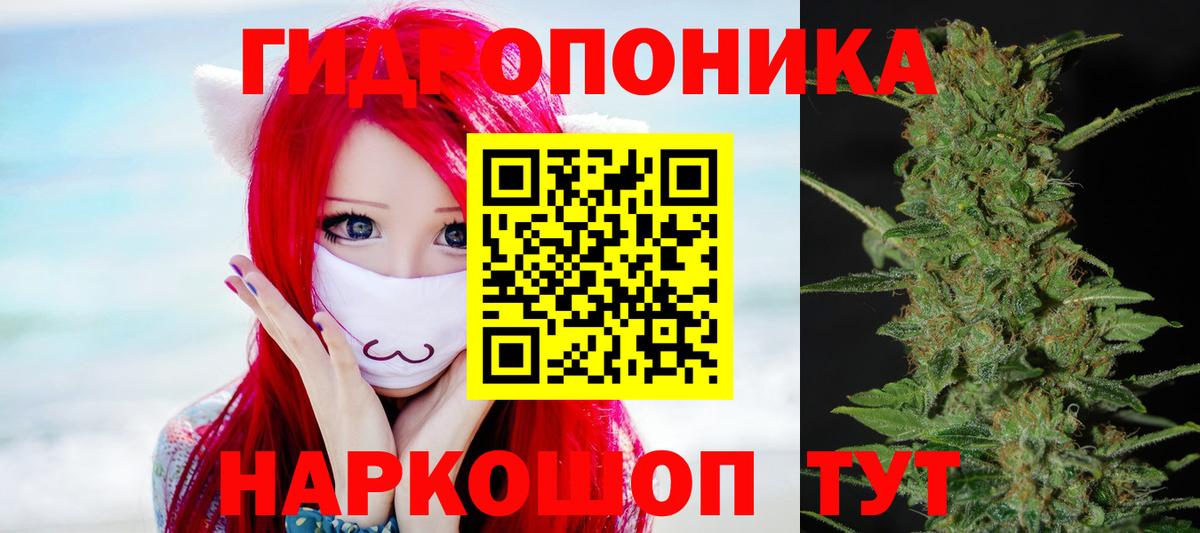 Канабис конопля  Каннабис MAZAR  Конопля гибрид  Тихорецк  Вход с VPN 